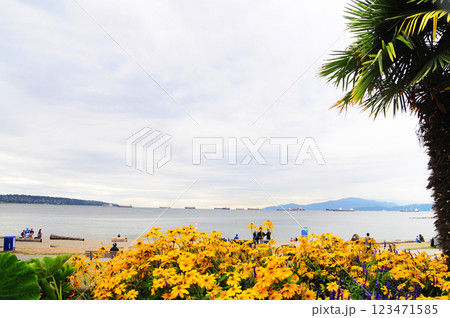 バンクーバーの賑わうイングリッシュベイと花壇 123471585