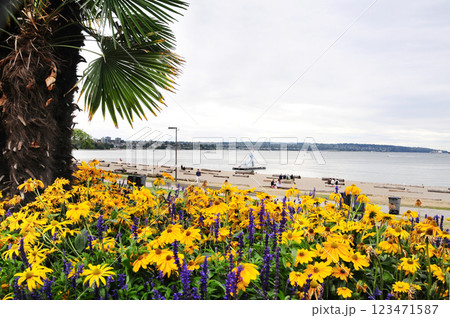 バンクーバーの賑わうイングリッシュベイと花壇 123471587