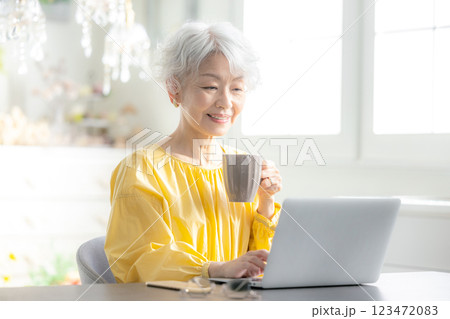 ノートパソコン シニア女性 ノートパソコン シニア女性 123472083