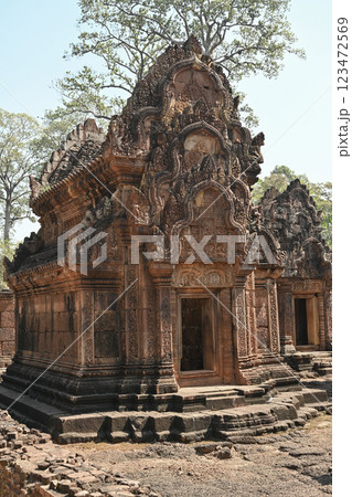 クメール美術の至宝・バンテアイスレイ寺院，アンコール遺跡群／カンボジア 123472569