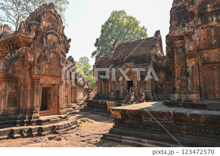 クメール美術の至宝・バンテアイスレイ寺院，アンコール遺跡群／カンボジア 123472570