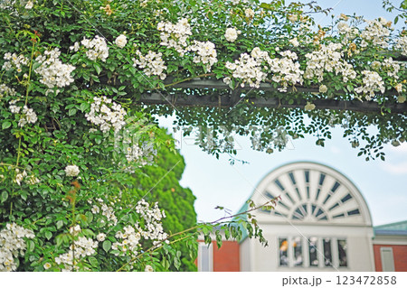 港の見える丘公園の白い建物 港の見える丘公園の白い建物 123472858
