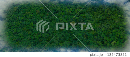 Aerial view of green summer forest. Summer in forest aerial top view. 123473831