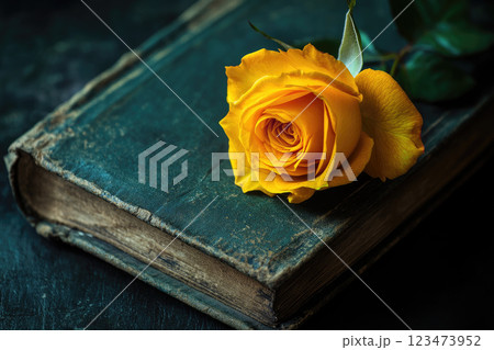 Old book with a yellow rose on the table, close-up view. 123473952