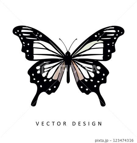 beautiful butterfly vector design isolated illustration 123474316