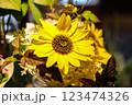 黄色い花 123474326