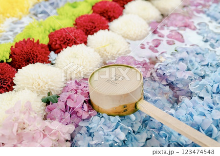 紫陽花の花手水 123474548