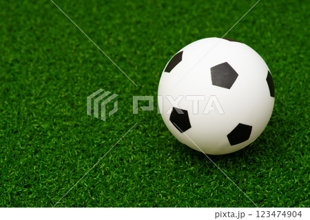 ミニチュアのサッカーボールと人工芝 123474904
