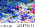 カラフルなあじさい花手水 123475052