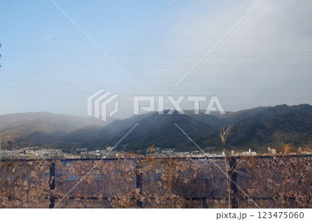 雨上がりの恩智川治水緑地から見た空 雨上がりの恩智川治水緑地から見た空 123475060