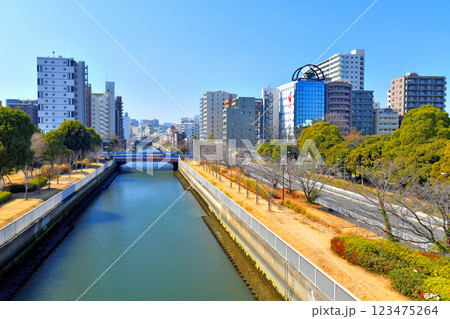 木場公園／木場公園大橋より末広橋方面を望む(東京都江東区)【2025.3】 123475264