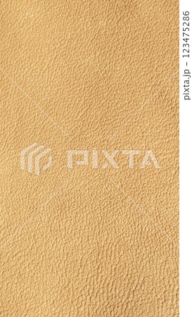 薄茶色の本革テクスチャー素材　背景クローズアップ　古い紙イメージ 123475286