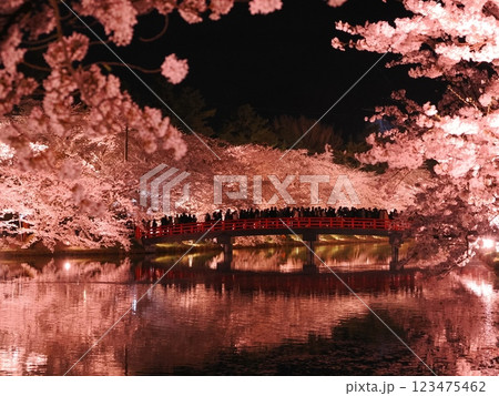 弘前城公園の夜桜 弘前城公園の夜桜 123475462