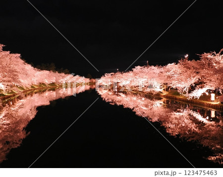 弘前城公園の夜桜 弘前城公園の夜桜 123475463