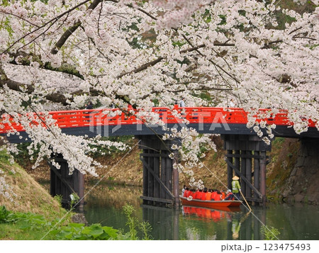 渡し舟と桜 渡し舟と桜 123475493