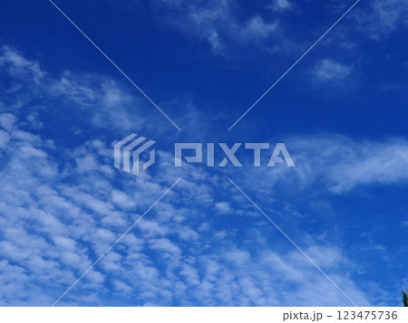 ゴルフ場から見えるゴルフコース　緑と　空と　清々しい時間 123475736