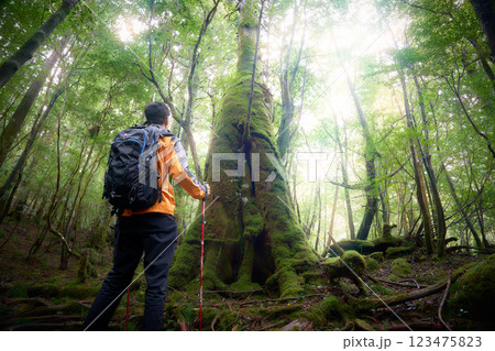 森林でトレッキングを楽しむ男性の後ろ姿 森林でトレッキングを楽しむ男性の後ろ姿 123475823