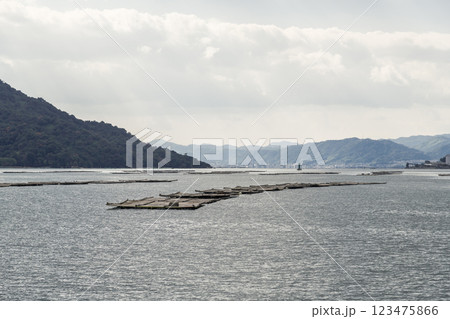 【広島宮島口 宮島口JR西日本宮島フェリーからの蠣いかだ】 【広島宮島口 宮島口JR西日本宮島フェリーからの蠣いかだ】 123475866