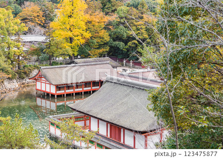 【広島宮島 豊国神社から望む厳島神社】 【広島宮島 豊国神社から望む厳島神社】 123475877
