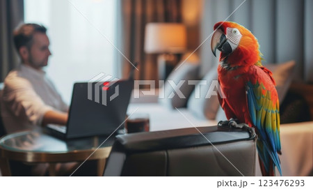 Colorful Macaw Parrot With Man Working Remotely in Cozy Home Setting Colorful Macaw Parrot With Man Working Remotely in Cozy Home Setting 123476293