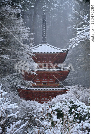 雪の岩船寺 123476294