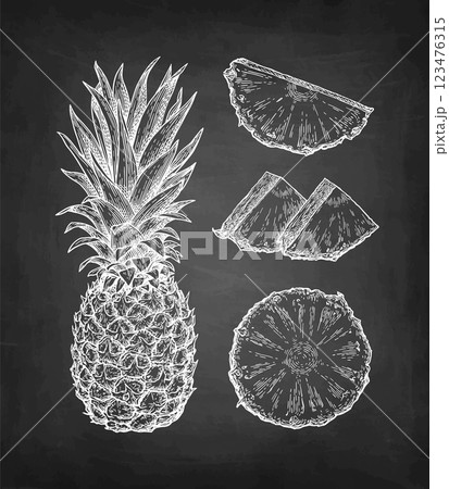 Pineapple chalk sketches 123476315
