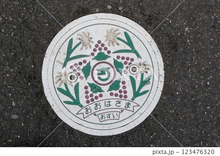 岩手県花巻市大迫の汚水のマンホールの早池峰山のエーデルワイスの絵柄のフタ 123476320