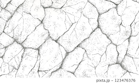 干上がった大地のテクスチャー 干上がった大地のテクスチャー 123476376