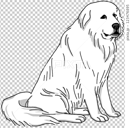 Great Pyrenees black and white transparent background dog illustration 123476895