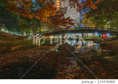 浜松市の秋の浜松城公園の紅葉とホテルコンコルド浜松の夜景(静岡県) 浜松市の秋の浜松城公園の紅葉とホテルコンコルド浜松の夜景(静岡県) 123476960