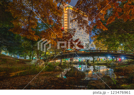 浜松市の秋の浜松城公園の紅葉とホテルコンコルド浜松の夜景(静岡県) 123476961