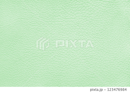 Texture of genuine leather or artificial synthetic leatherette pastel green color background Texture of genuine leather or artificial synthetic leatherette pastel green color background 123476984