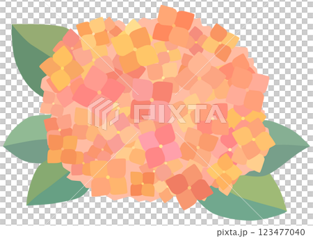 粉紅色繡球花插畫向量素材 123477040