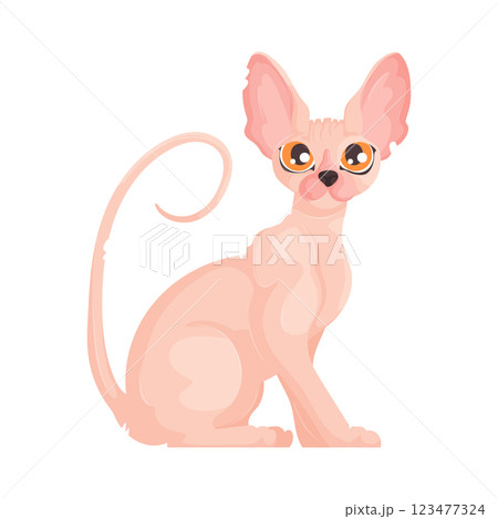 Vector illustration of a pink hairless Sphynx cat with orange eyes and large ears, sitting with a curled tail on a white background. 123477324