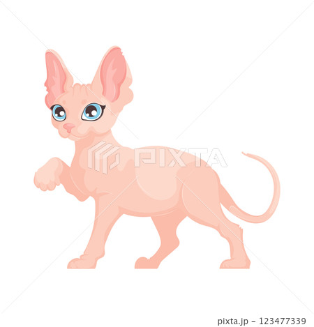 Stylized vector illustration of a pink hairless cat with blue eyes, mid-step, on a white background. Minimalist design. Stylized vector illustration of a pink hairless cat with blue eyes, mid-step, on a white background. Minimalist design. 123477339