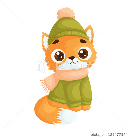 Cute orange cartoon cat sitting happily, dressed in a green sweater, matching hat with pom-pom, and pink scarf, on a white background. 123477344
