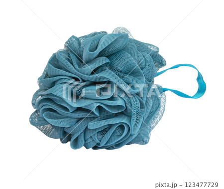 Shower puff sponge soft fluffy for bath isolated on the white background 123477729