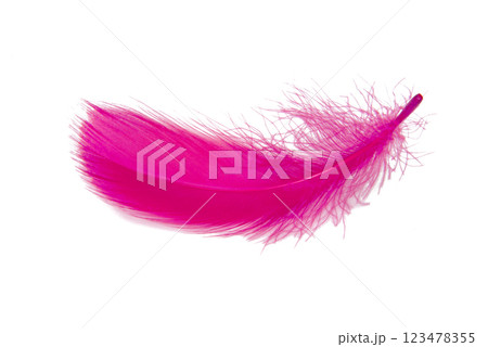 Feather elegant pink puff isolated on the white background 123478355