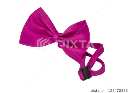 Pink bow tie clothing accessory isolated on the white background 123478358