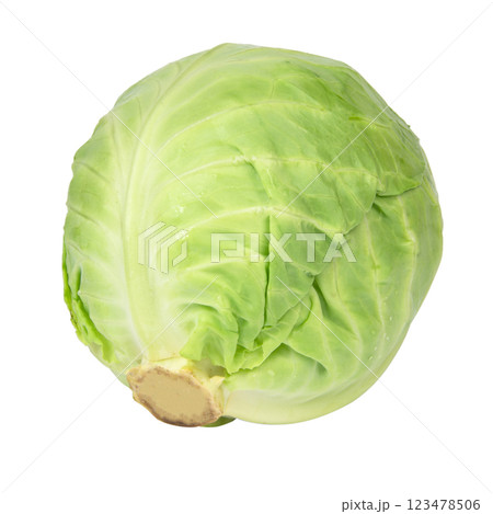 Green natural cabbage head isolated on the white background 123478506