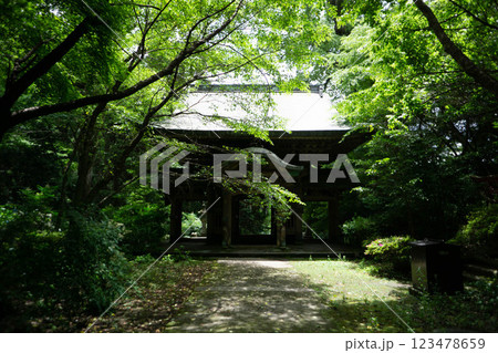 大分市 柞原八幡宮 大分市 柞原八幡宮 123478659