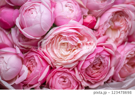Beautiful Pink ranunculus Bouquet close up Beautiful Pink ranunculus Bouquet close up 123478698