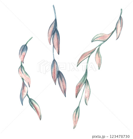 Tropical leaves and lianas. Watercolor illustration of leaves in pink and green pastel colors. Tropical leaves template for postcard and invitation designs isolated on white background 123478730