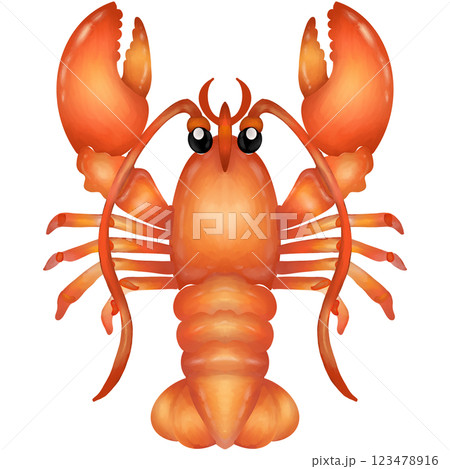 Lobster  123478916