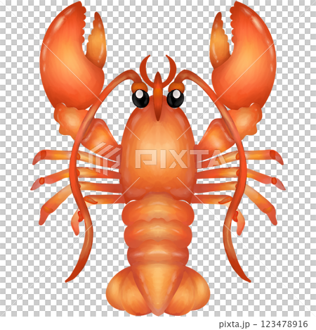 Lobster  123478916