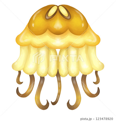 Jellyfish  123478920