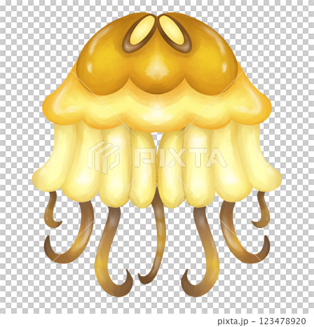 Jellyfish  123478920