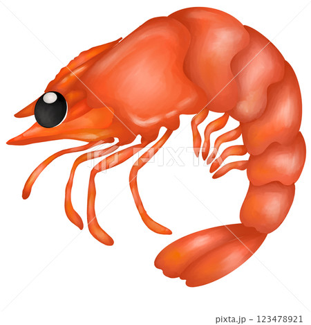 Shrimp Shrimp 123478921