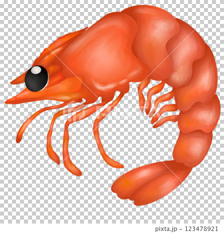 Shrimp Shrimp 123478921