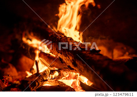 The flames dance around burning logs, creating a cozy atmosphere for relaxation and conversation among campers at night 123479611